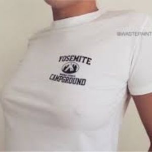 Brandy Melville Graphic Tee Crop Top YOSEMITE